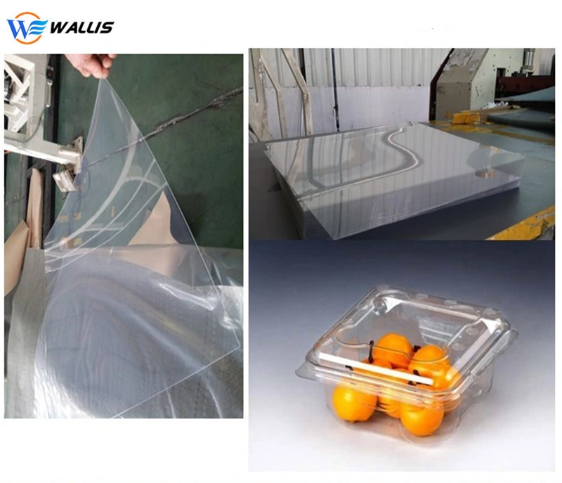 Clear Transparent PP Pet Polyester PVC Plastic Food Grade Fruit Cake Salad Frozen Packaging Tray with Lid