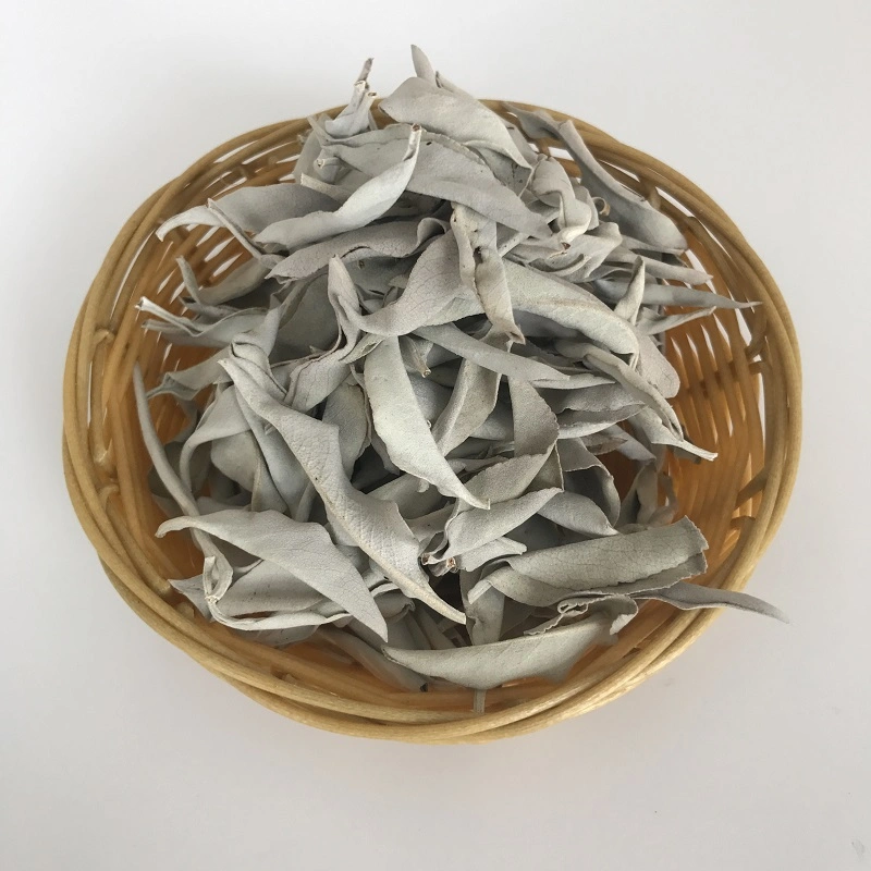 Shu Wei Cao Bulk Natural Products 100g Per Bag Dried White Sage Leaves for Incense