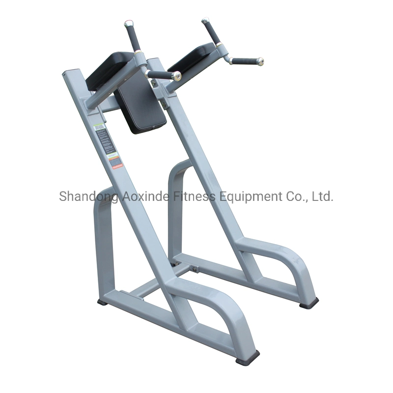 Commercial Fitness Equipment Body Building Gym Vertical Kness up/DIP Axd5047