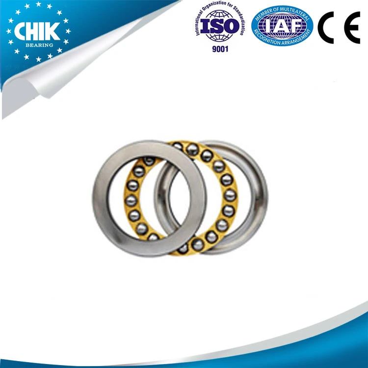 Single Direction Thrust Ball Bearing One Way Bearing of Stainless 51160 51207 51222 51164 51208	51224 Vertical Spinning Bearing