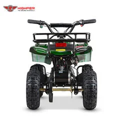 Novo Electric ATV Moto para crianças de 500W/800W/1000W 36V12AH