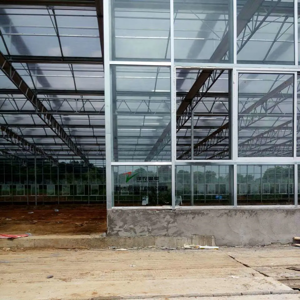 Intelligent Glass Greenhouse with Automatic/Heating/Cooling/Hydroponics System for Agriculture/Seeding/Vegetables/Fruits/Exhibition/Scientific Research