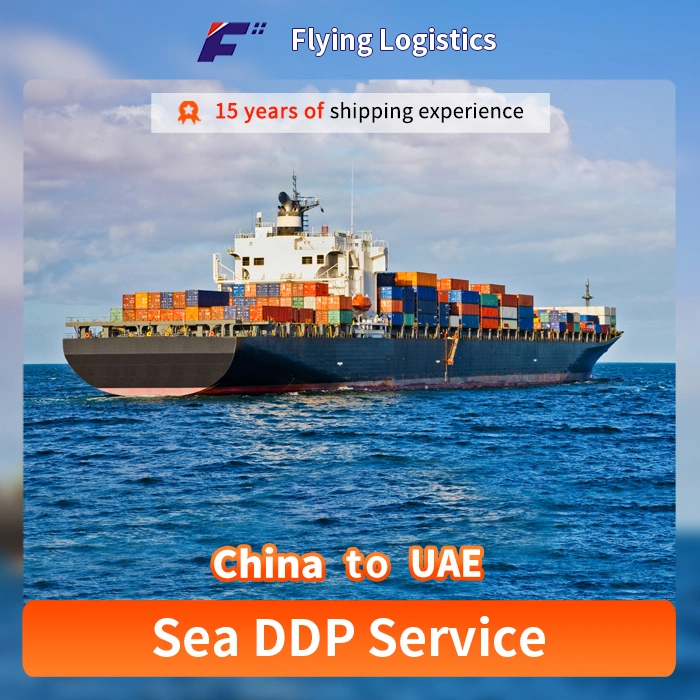 Freight Forwarder China to UAE Door to Door Transport Agent Shipping Agent Service DDP by Sea