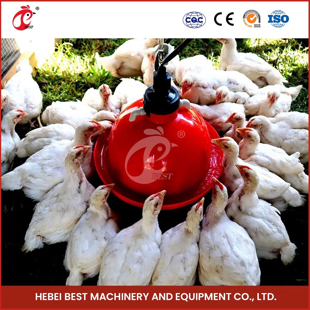 Bestchickencage Broiler producción Bell Drinker China aves de corral Trigger Drinkers Fabricación Muestra gratuita de Smoothy Edge Drinker plástico de pollo