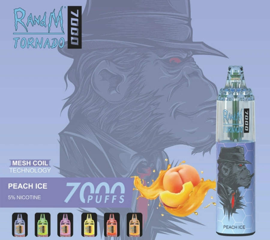 Vente à chaud Randm Tornado 7000 en gros Vape jetable lisse Goût