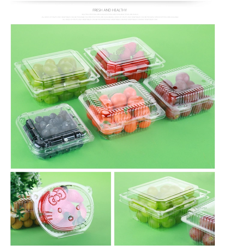 Plastic Catering Tray Sushi Plate Food Container Making Machine