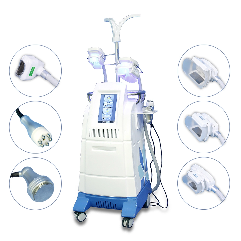 High End Quality Fat Freeze Cryolipolysis Machine Cryo Freezing Fat Criolipolisis Body Contouring Weight Loss Equipment Price