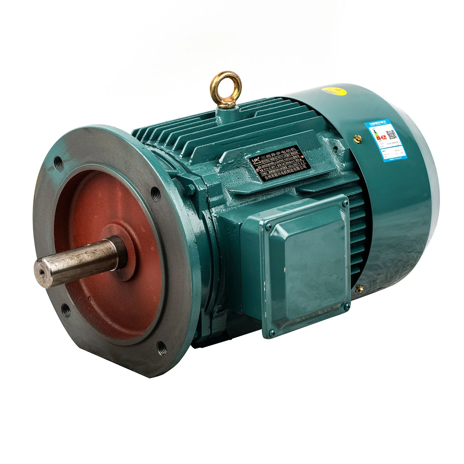 High Voltage Motor Three Phase Induction Electrical Motor for Water Pump, Air Compressor Tubuar Motor