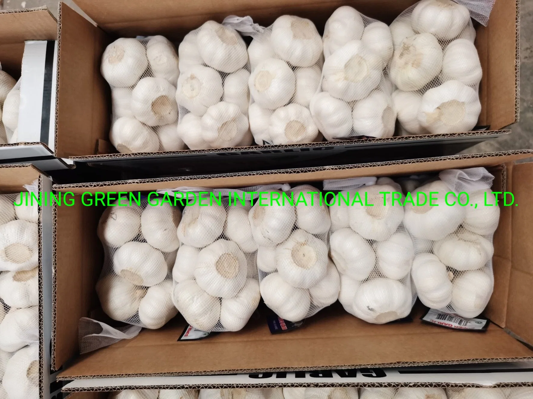 2022 Fresh China Garlic White Garlic Red Garlic Peeled Garlic Snow White Garlic Normal White Garlic Pure White Garlic 4.5cm, 5.0cm, 5.5cm, 6.0cm, 6.5cm up