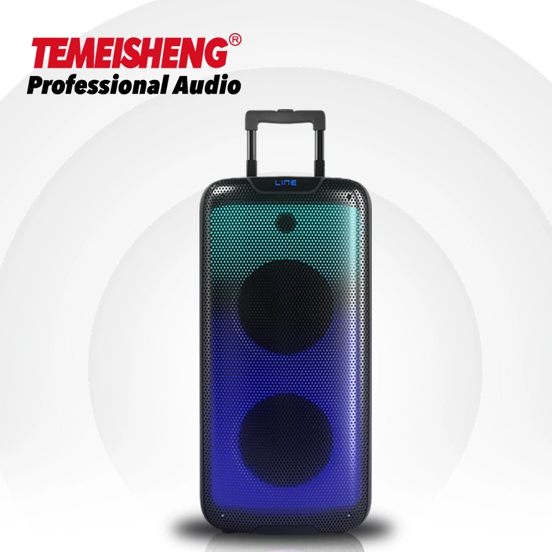 Temeisheng 2022 Hot Sale High Power Dual 8 Inch Flame Light Party Speaker