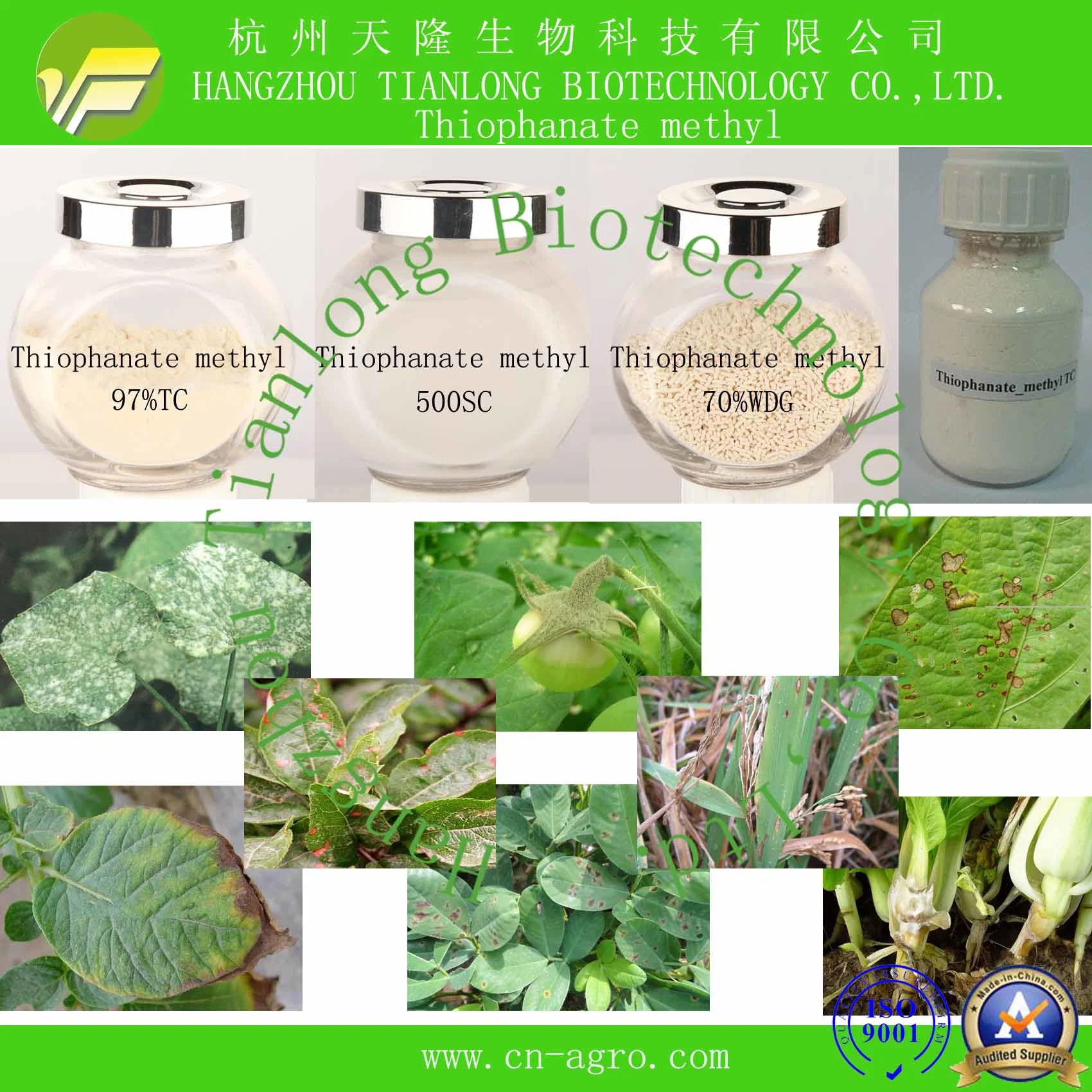 Fungicide  Thiophanate-methyl 98%TC CAS 23564-05-8