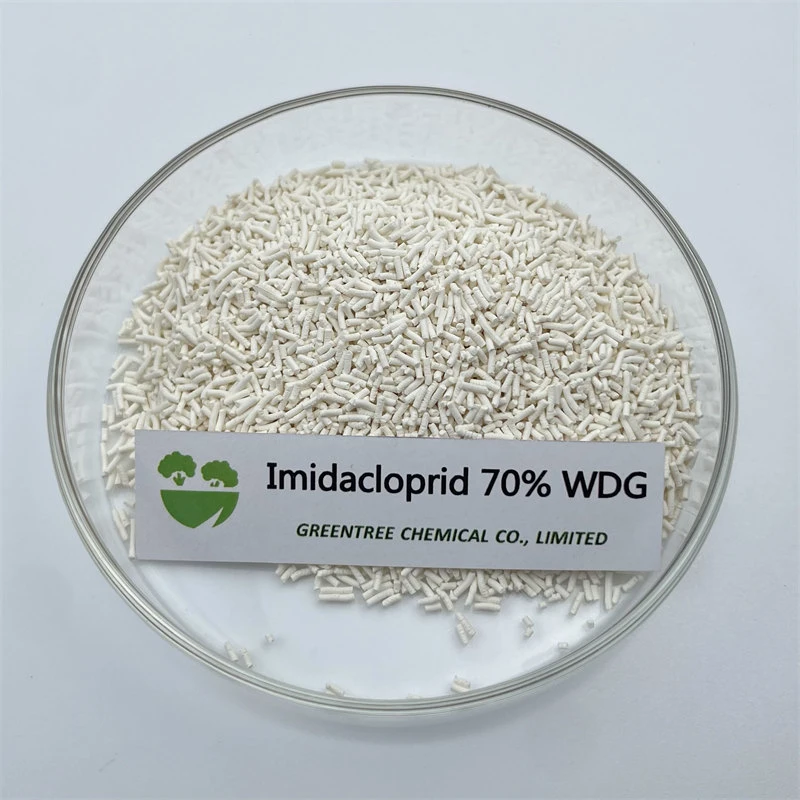 CAS no 138261-41-3 grânulos químicos agrotóxicos grânulos brancos ou castanhos pesticida imidaclopride 70% WG WDG China Supplier