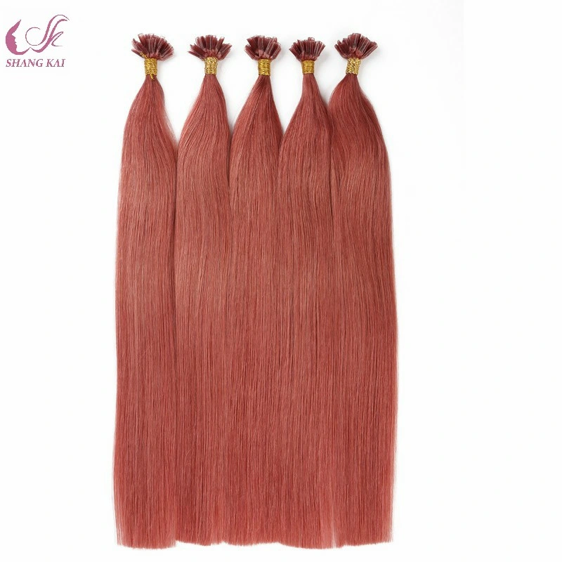 Wholesale/Supplier Top Beauty Wholesale/Supplier Brazilian Human Hair U Tip Hair