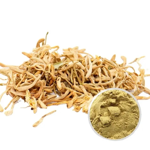 Extract Chlorogenic Acid Powder Honeysuckle Flower Extract