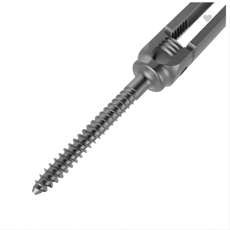 Excellent Quality Medical Polyaxial Reduction Screw Orthopedic Implant