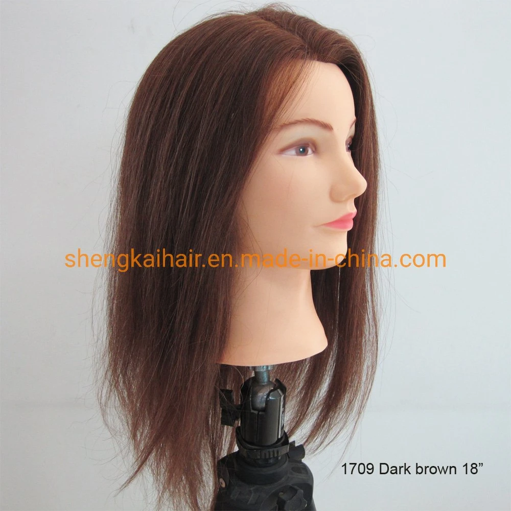 China Wholesale Good Quality Handtied Barber Real Human Hair Training Heads 686