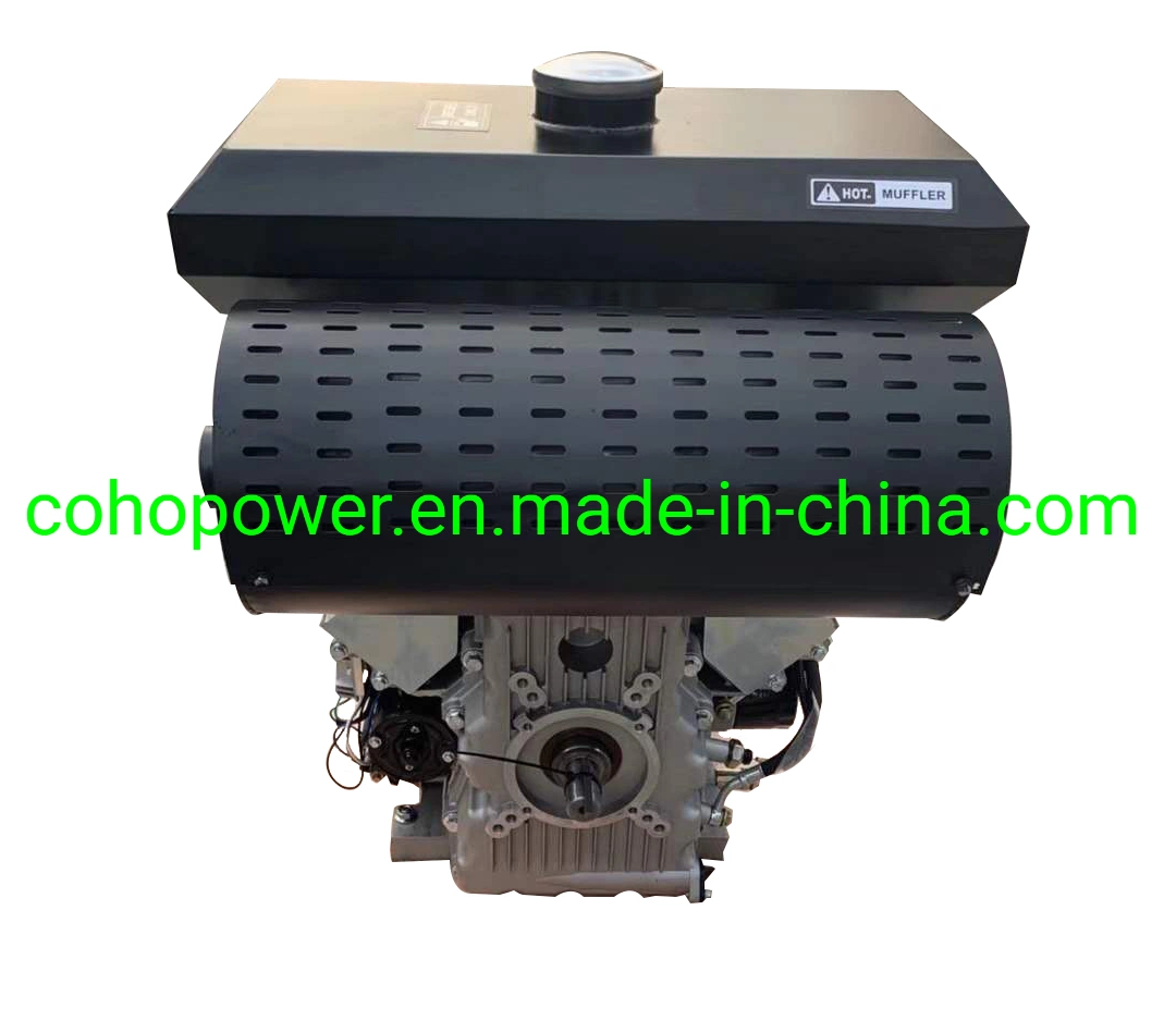 Chinese Model 2-Cylinders Diesel Engine for Agricultural