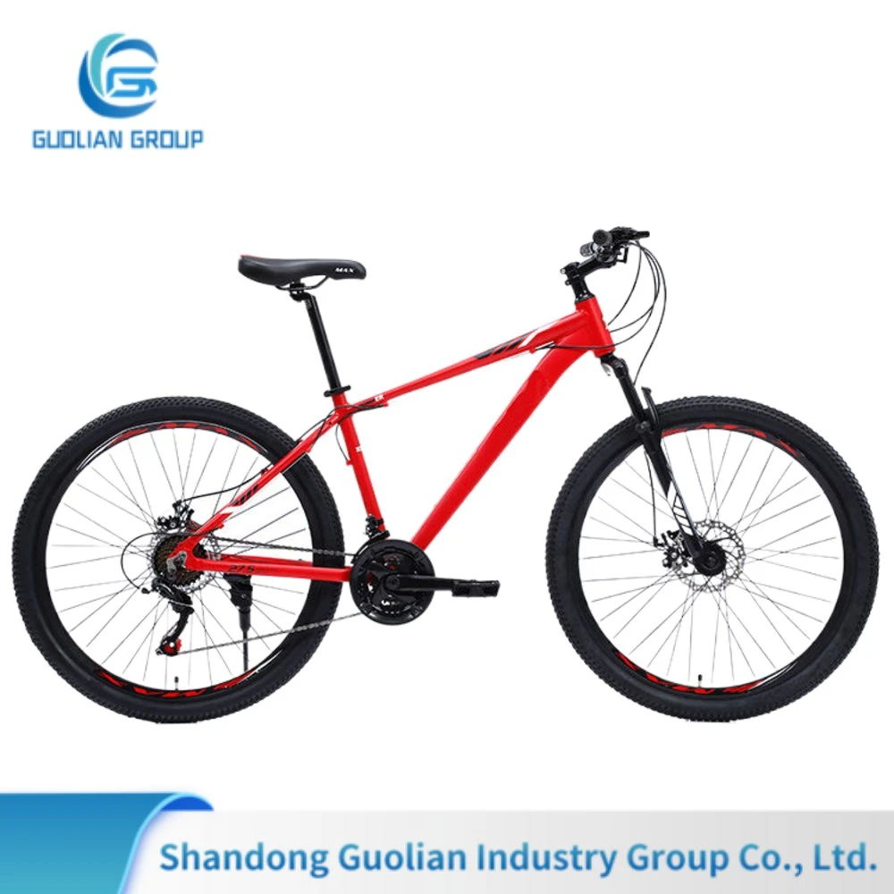 Cheap 250W 48V 500W Motor Fast Speed Electric Mountain Dirt Bike City Bicycle From Chinese for Adults