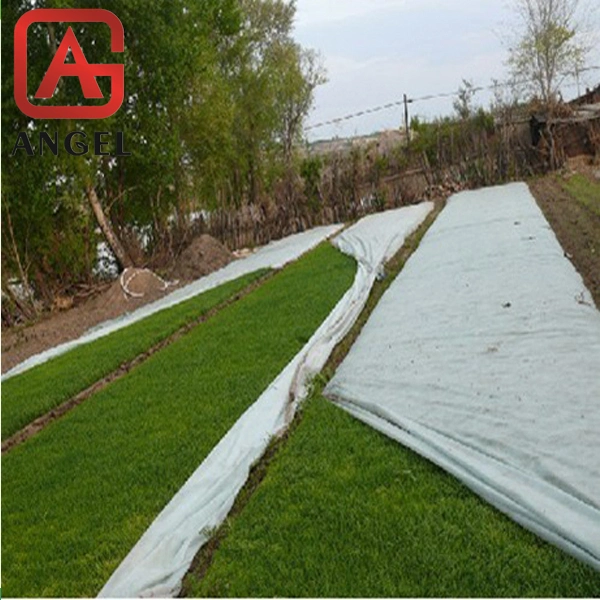 PP Spunbonded Nonwoven Crop Cover Agriculture Fabric Cover