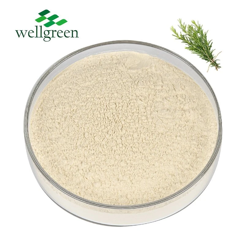 Wellgreen granel Natural extracto de romero Rosmarinus officinalis Rosmarinic polvo ácido