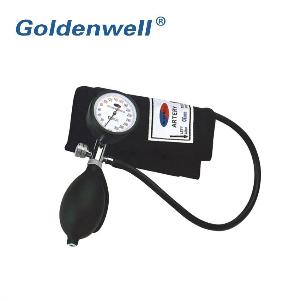 High quality/High cost performance Portable Medical or Household Aneroid Sphygmomanometer