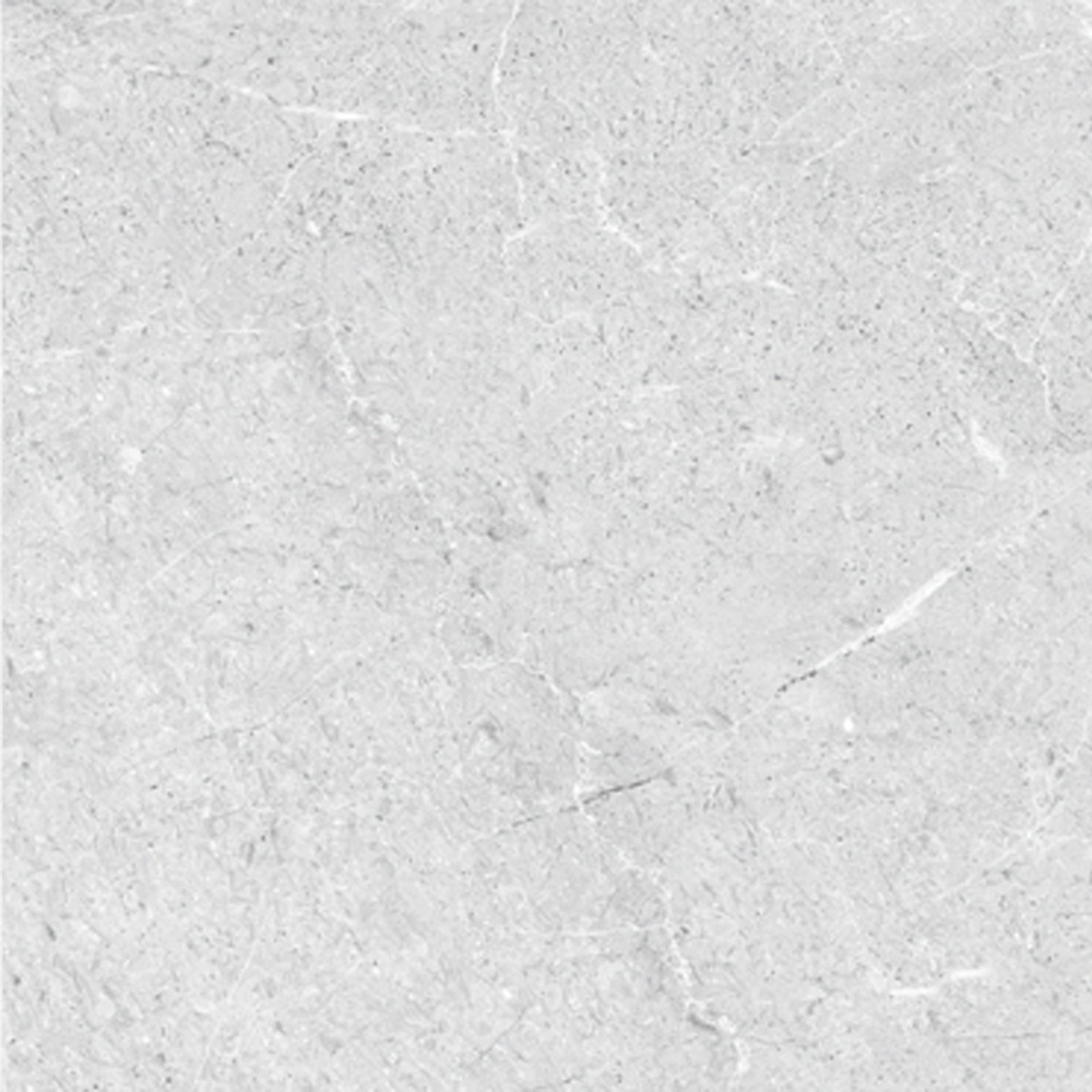 Extérieur Porcelanato 60X60 béton de porcelaine Té mat brut vitrifié Gris mat