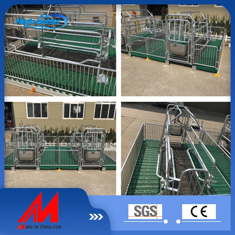 Lowest Price Hot DIP Galvanized Pig Farrowing Crate / Cage for Sows