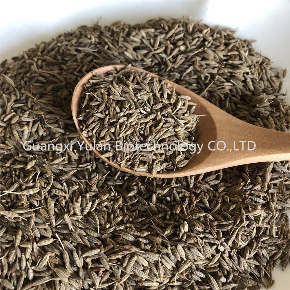 High quality/High cost performance Nature Cumin Seeds Wholesale/Supplier Spices