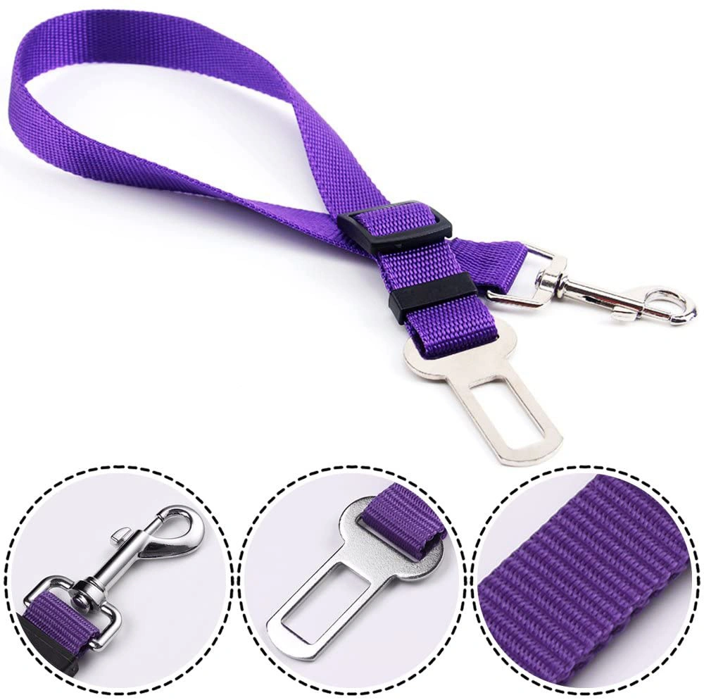 Conjunto de coleira refletora para cão ajustável PET nylon