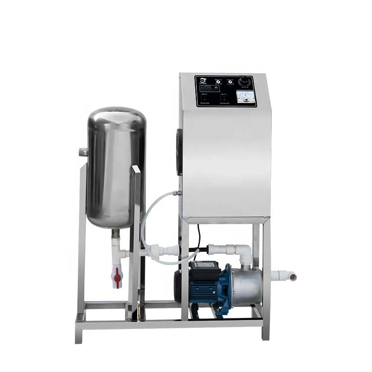 Wholesale 10g Ozone Machine for Farm Drink Water Treatment