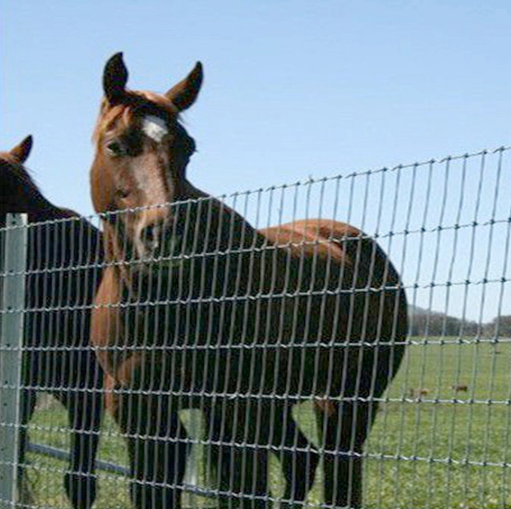 Durable Farm Fence for Cattle and Horse Enclosures