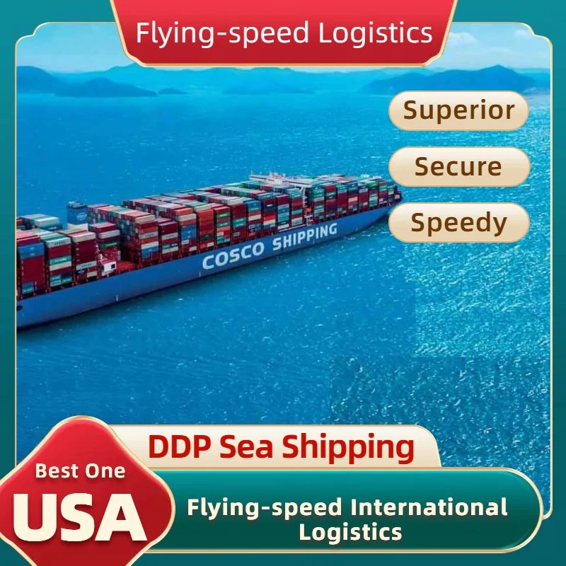 DDP exceptionnelle Sea Freight Shipping Agent expédition de fret aux Etats-Unis Transitaire