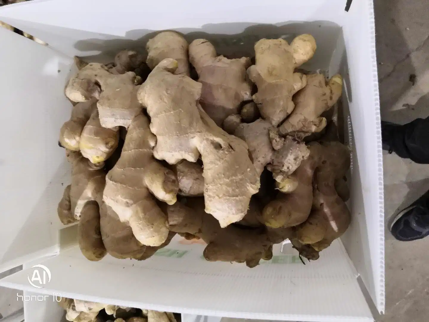 Air Dry Ginger Size 200g up in PVC Carton