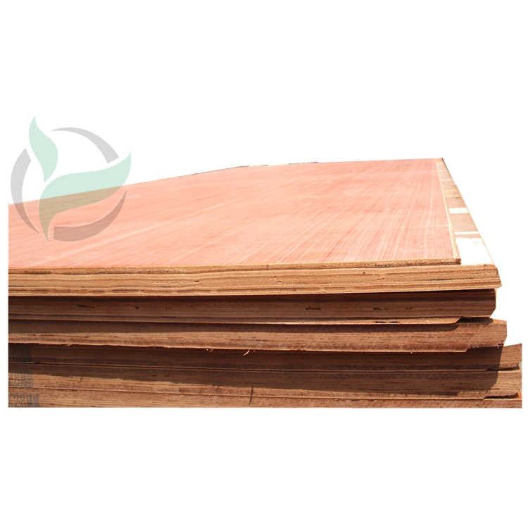 Waterproof Marine Plywood for Container Flooring 28mm Price