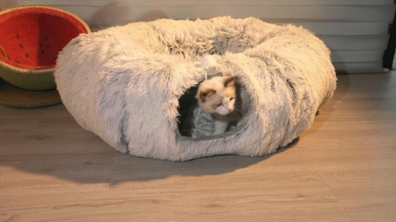 Peluche caliente túnel Gato la cama con el tubo de cojín túnel cat.