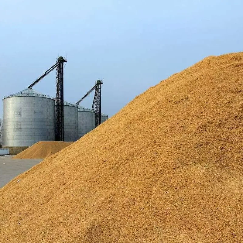 Maquinaria de secado de trigo de grano de pala Torre de secado de cereales de maíz 50 Bomba de calor de tonelada Secador de grano máquina de secado de arroz con maíz Precio de fábrica