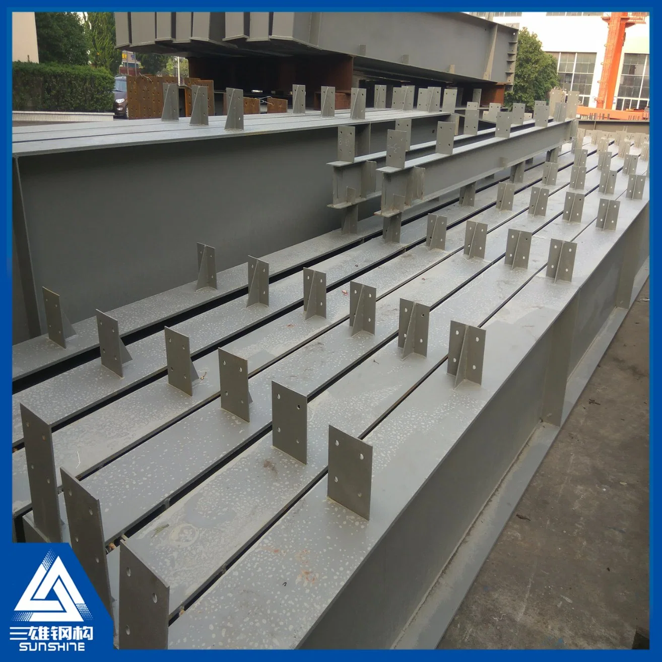 China Building Material Prefabricated Light Steel Structure for Warehouse/Workshop/Cow Shed/Chicken House