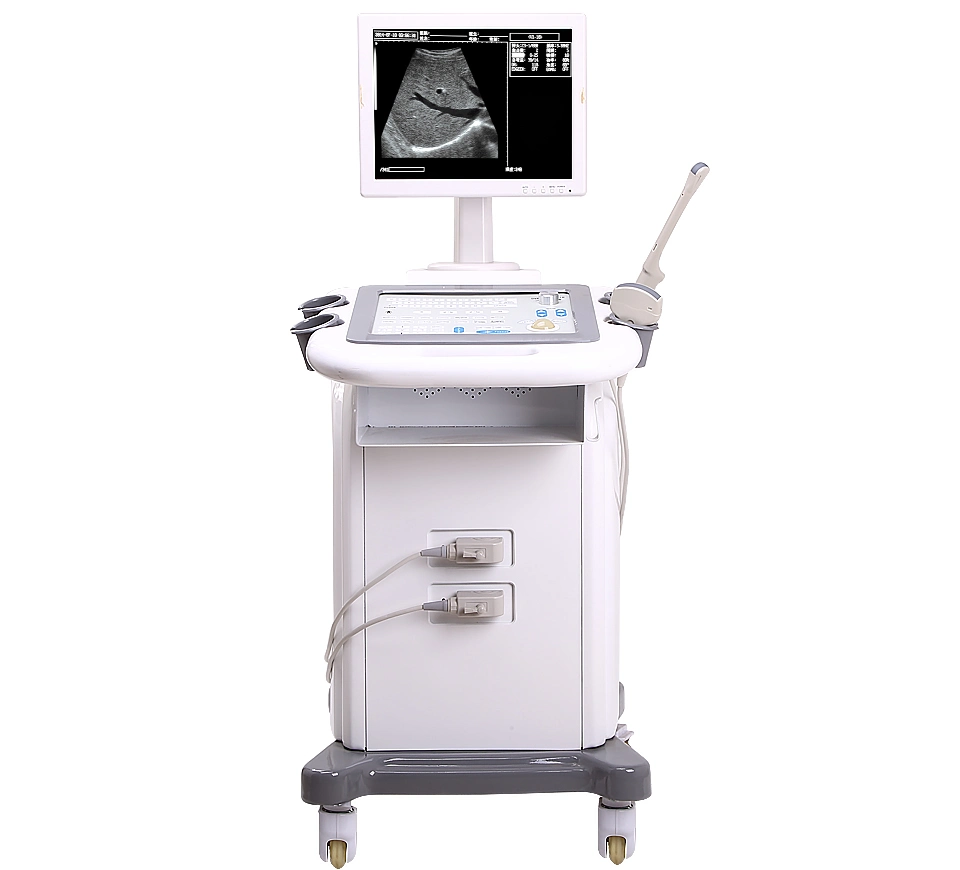 Hochey Medical Ultrasound animales portátiles Vet B Scanner LED Ecografía veterinaria