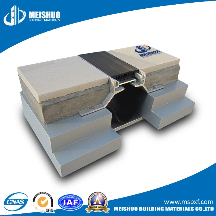 Elastomeric Watertight Building Floor Expansion Joint for Concrete