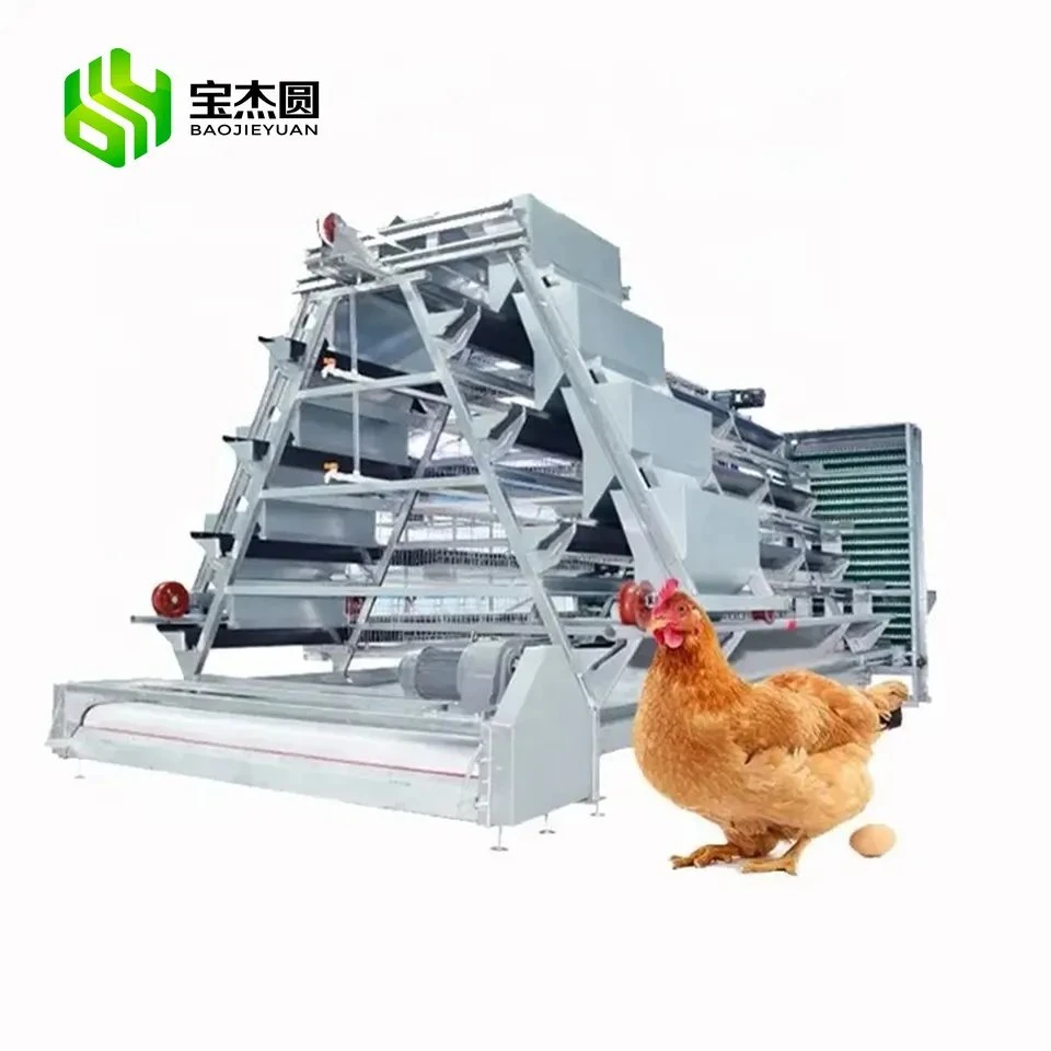 Ferme a Type 4 tiers poules pondeuses couche de batterie Cage de poulet automatique