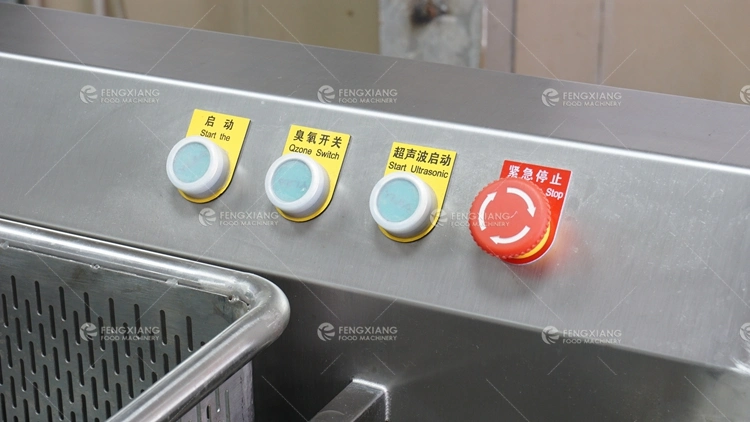 Automatic Electric Meat Vegetable Frozen Food Thawing and Washer Machine