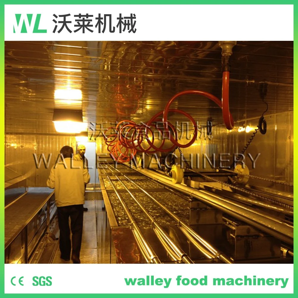 China High quality/High cost performance  Blast Freezer Cold Storage Freezer Room for Meat Vegetable