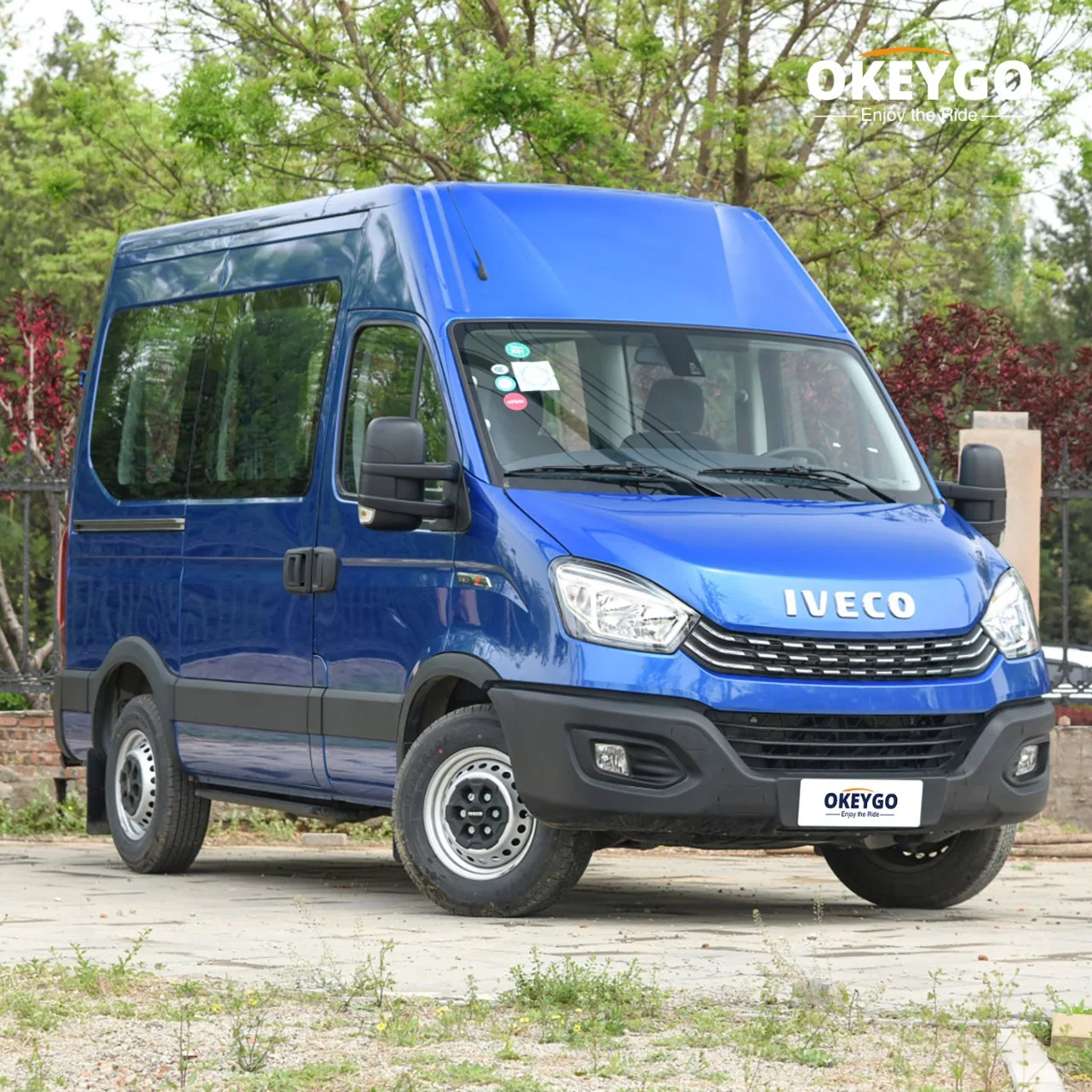 Ultra-Long Battery Life 0km Used Electric Motorized Vehicle Naveco F1c for Sale