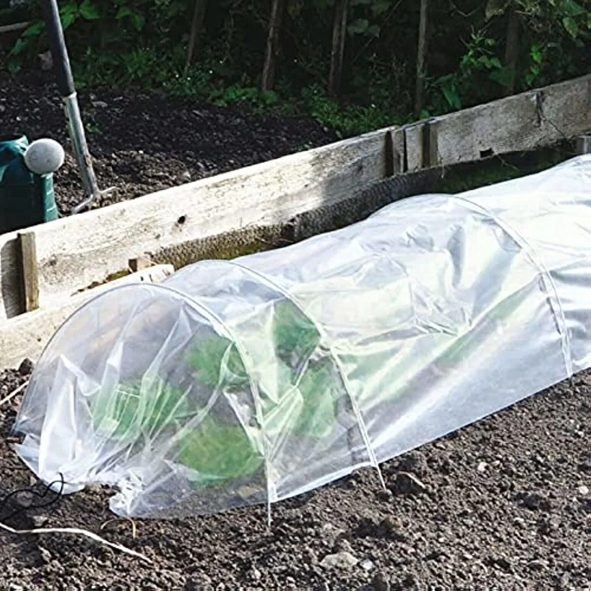 LDPE Transparent/White/Black/Silver Agricultural Plastic UV Protection Mulch Film