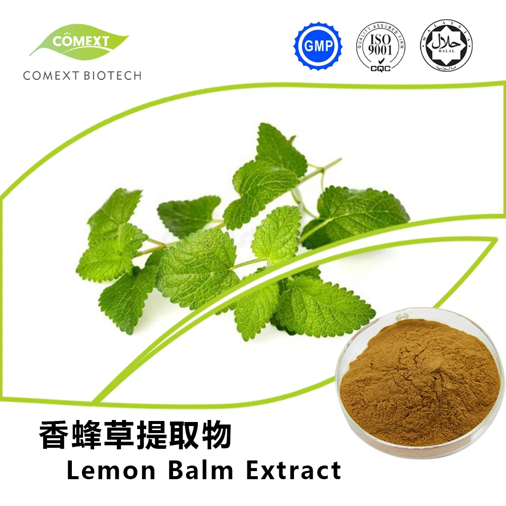 Comext ISO Factory Lyphar Supply Directly 100% 5: 1 10: 1 20: 1 Natural Melissa Extract Lemon Balm Extract