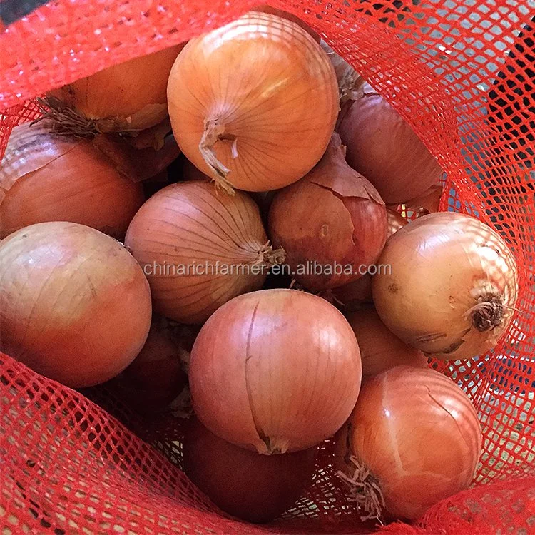 Amarelo fresco cebola cebola castanha ou preço de cebola pelado 1 Kg