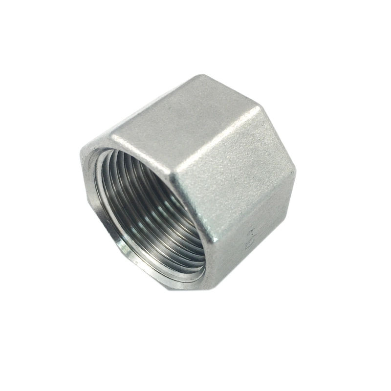 Stainless Fittings Size 1/8&prime; &prime; to 6&prime; &prime; Length Sch 40 NPT Thread Barrel Couplings