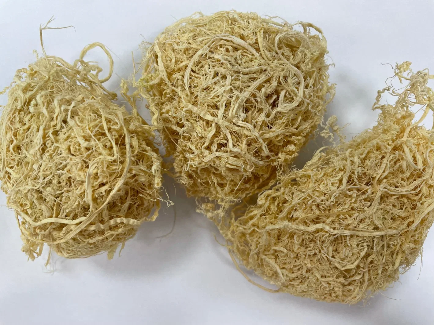 Zhuru Chinese Herbal Medicine Chinese Traditional Natural Dried Herb Bambusae Caulis in Taenias