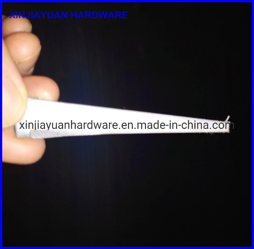 Tempered Hardened Cut Masonry Nails Hot DIP Galvanized 16D