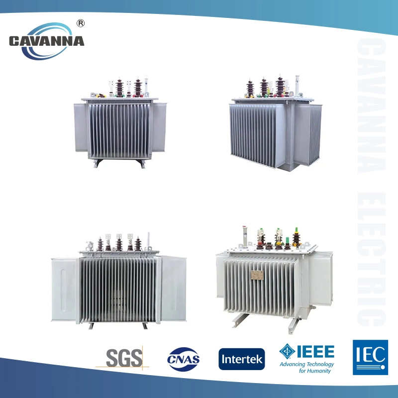 Efficient Power Transmission with S11 Oil-Filled Transformers (500kVA to 2000kVA)